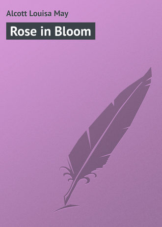 . Rose in Bloom