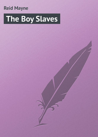. The Boy Slaves