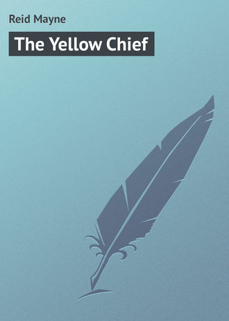 . The Yellow Chief