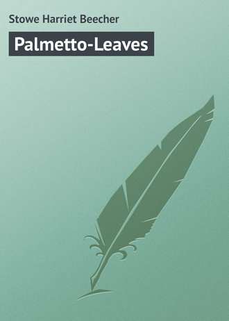 . Palmetto-Leaves