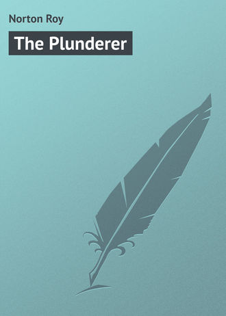 . The Plunderer