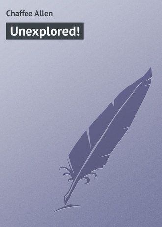 Аллен Чаффи. Unexplored!