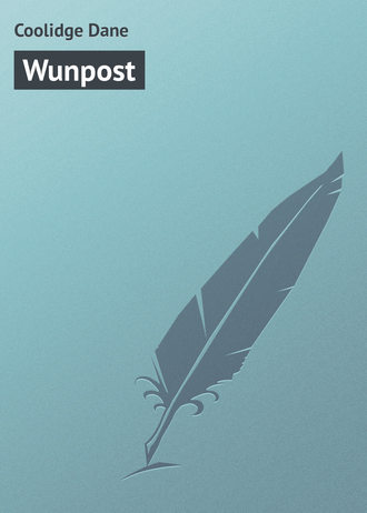 . Wunpost