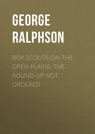 . Boy Scouts on the Open Plains; The Round-Up Not Ordered