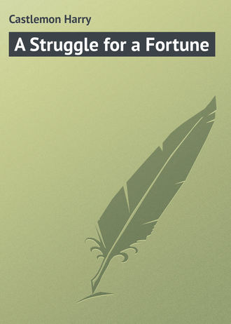 . A Struggle for a Fortune