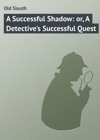 . A Successful Shadow: or, A Detective's Successful Quest