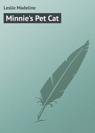 . Minnie's Pet Cat