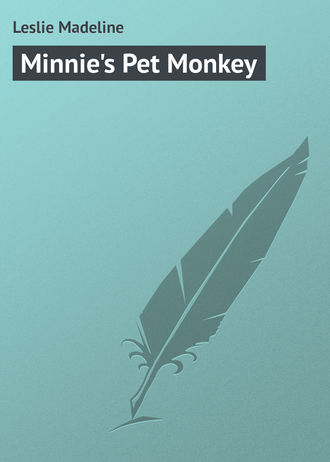 . Minnie's Pet Monkey