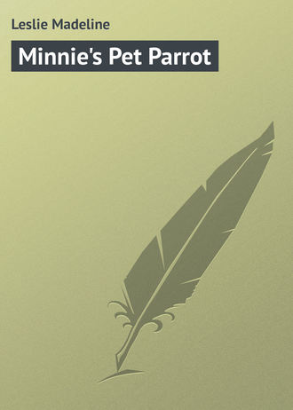 . Minnie's Pet Parrot