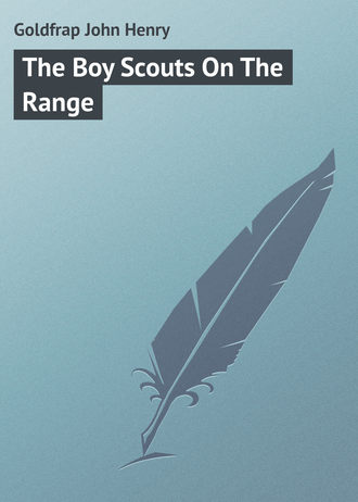 . The Boy Scouts On The Range