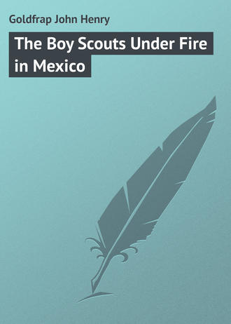 . The Boy Scouts Under Fire in Mexico