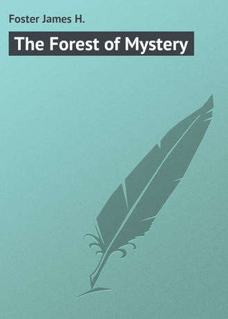 Foster James H.. The Forest of Mystery