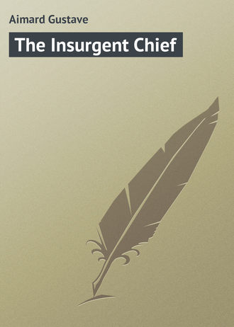 . The Insurgent Chief