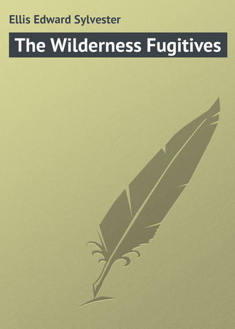 . The Wilderness Fugitives