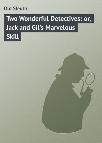 . Two Wonderful Detectives: or, Jack and Gil's Marvelous Skill