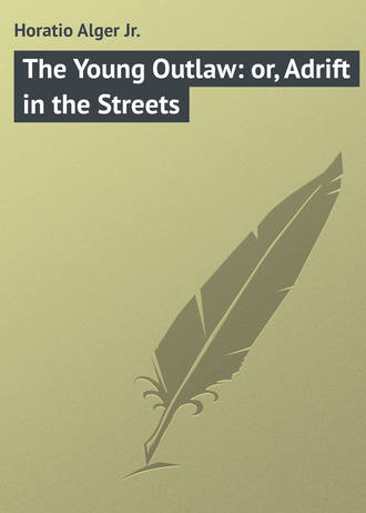 Alger Horatio Jr.. The Young Outlaw: or, Adrift in the Streets
