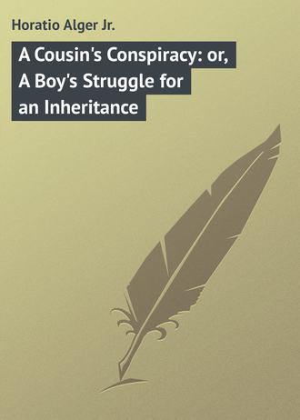 . A Cousin's Conspiracy: or, A Boy's Struggle for an Inheritance