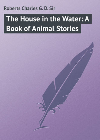 . The House in the Water: A Book of Animal Stories