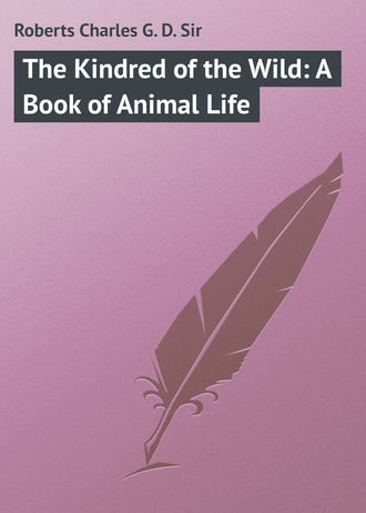 . The Kindred of the Wild: A Book of Animal Life