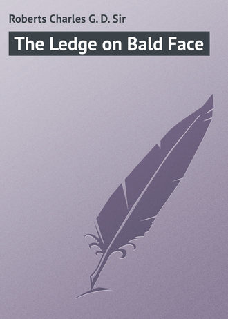 . The Ledge on Bald Face