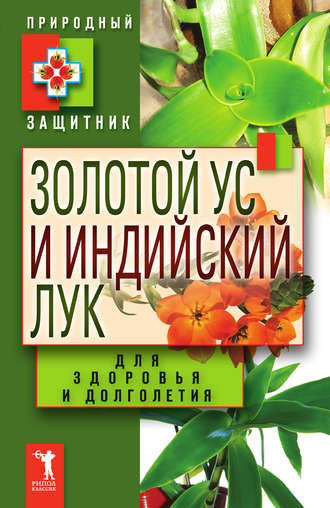 . Золотой ус и индийский лук для здоровья и долголетия