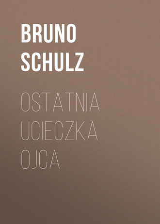 Bruno  Schulz. Ostatnia ucieczka ojca