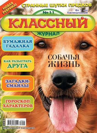 . Классный журнал №11/2017