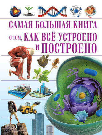 . О том, как всё устроено и построено