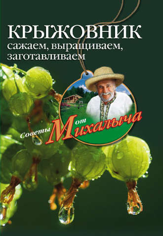 . Крыжовник. Сажаем, выращиваем, заготавливаем