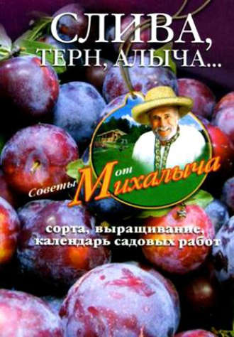 . Слива, терн, алыча... Сорта, выращивание, календарь садовых работ
