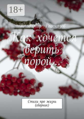 . Как хочется верить порой… Стихи про жизнь (сборник)