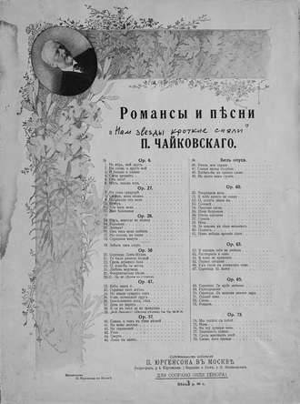 . Нам звезды кроткие сияли
