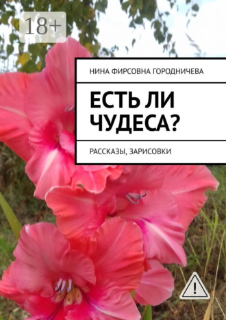 . Есть ли чудеса? Рассказы, зарисовки