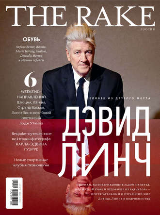. The Rake №2/2017