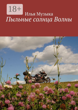 Илья Музыка. Пыльные солнца Волны