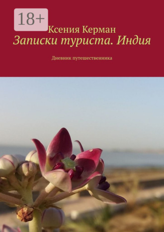 Ксения Керман. Записки туриста. Индия. Дневник путешественника