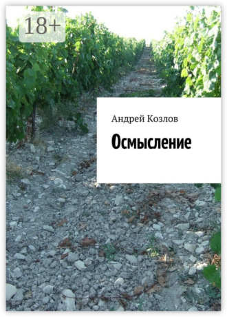 Андрей Козлов. Осмысление