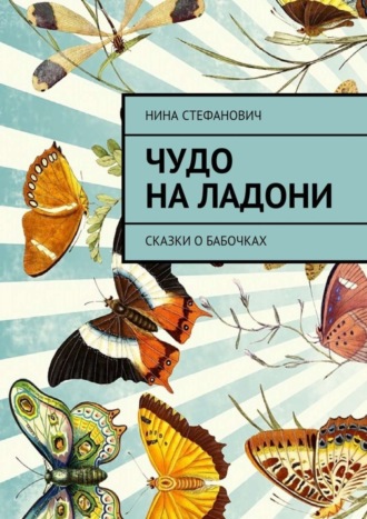 . Чудо на ладони. Сказки о бабочках