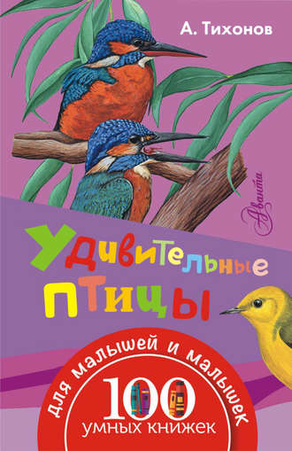 . Удивительные птицы
