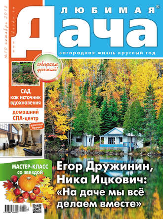 . Любимая дача №10/2018