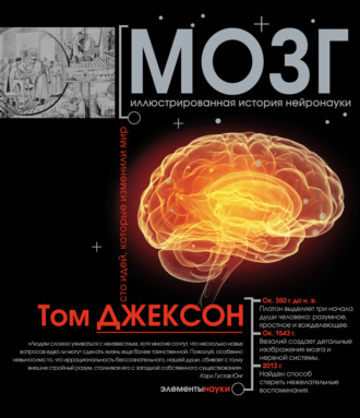 . Мозг. Иллюстрированная история нейронауки