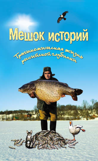 . Мешок историй (сборник)