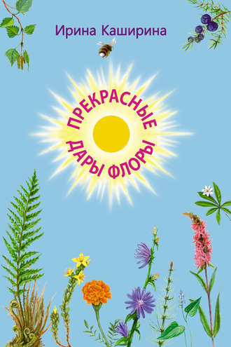 . Прекрасные дары флоры
