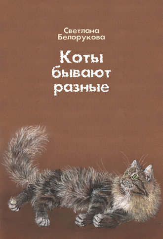. Коты бывают разные