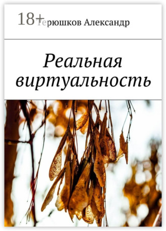 . Реальная виртуальность
