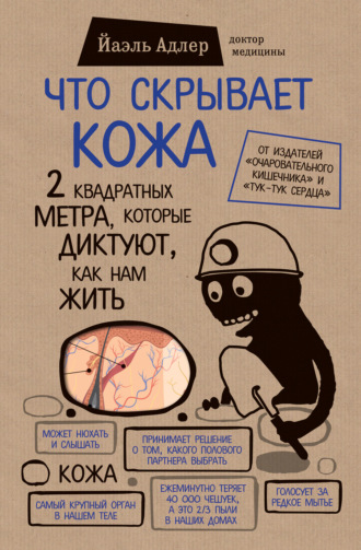 . Что скрывает кожа. 2 квадратных метра, которые диктуют, как нам жить