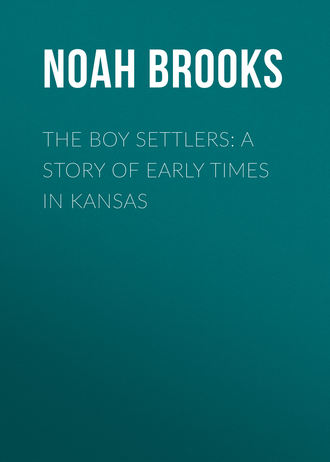 . The Boy Settlers: A Story of Early Times in Kansas