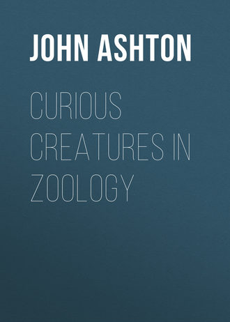 . Curious Creatures in Zoology