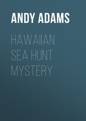 . Hawaiian Sea Hunt Mystery