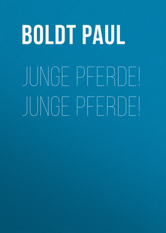 Boldt Paul. Junge Pferde! Junge Pferde!
